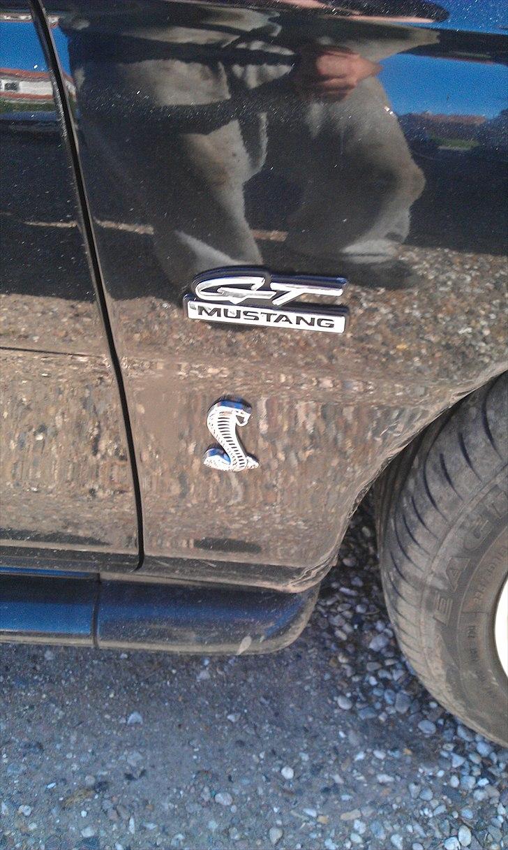 Ford Mustang gt 500 cobra cab billede 8