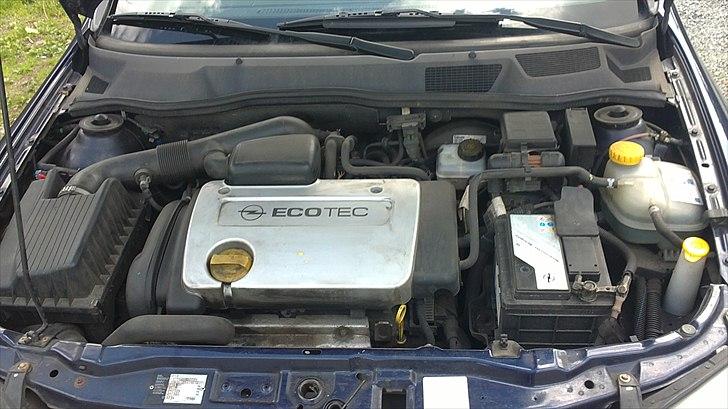 Opel Astra G billede 12