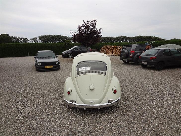 VW Bobbel 1200 de luxe billede 3