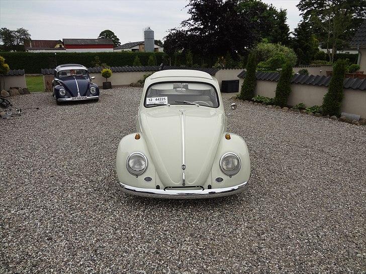 VW Bobbel 1200 de luxe billede 8