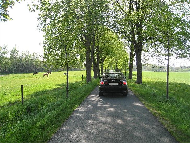 Lexus IS200 Sport - Bliver det mere idyllisk?  :)  billede 10