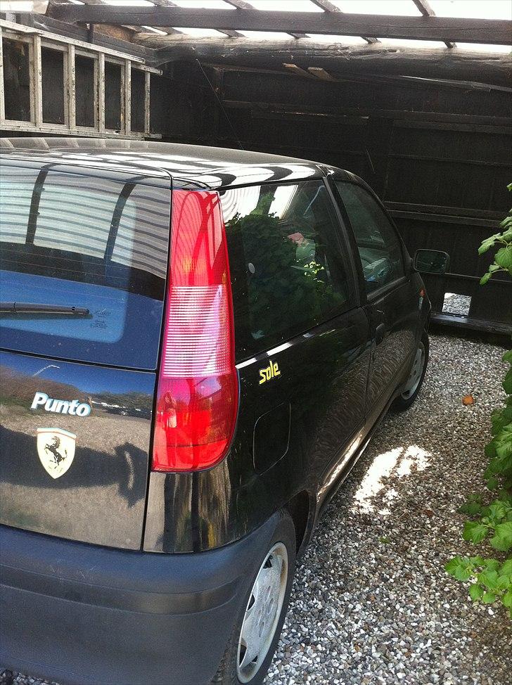 Fiat Punto / ''Ferrari''   billede 6