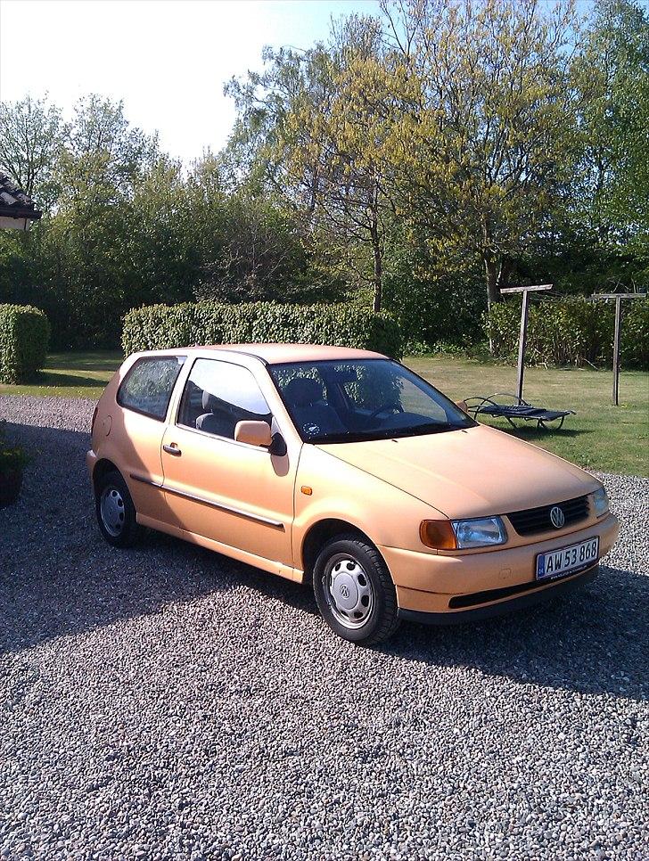 VW Polo 6n - Sådan så bilen ud, da jeg fik den i maj 2011 billede 19