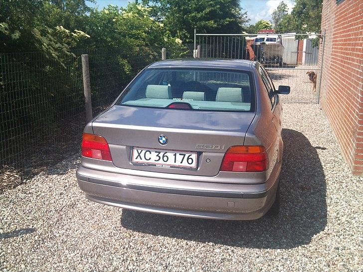 BMW E39 520i billede 4