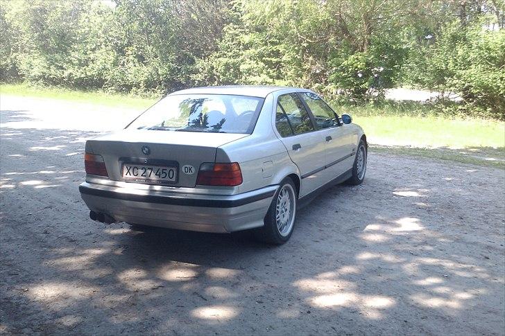 BMW E36 316i //Solgt// billede 7