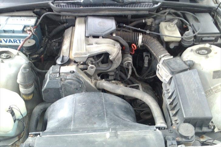 BMW E36 316i //Solgt// billede 9