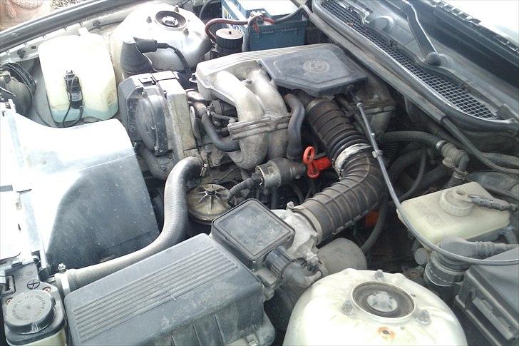 BMW E36 316i //Solgt// billede 10