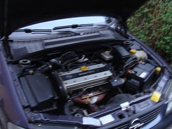 Opel Vectra B, st.car billede 4