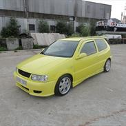 VW Polo 6N  [Tidl. bil]