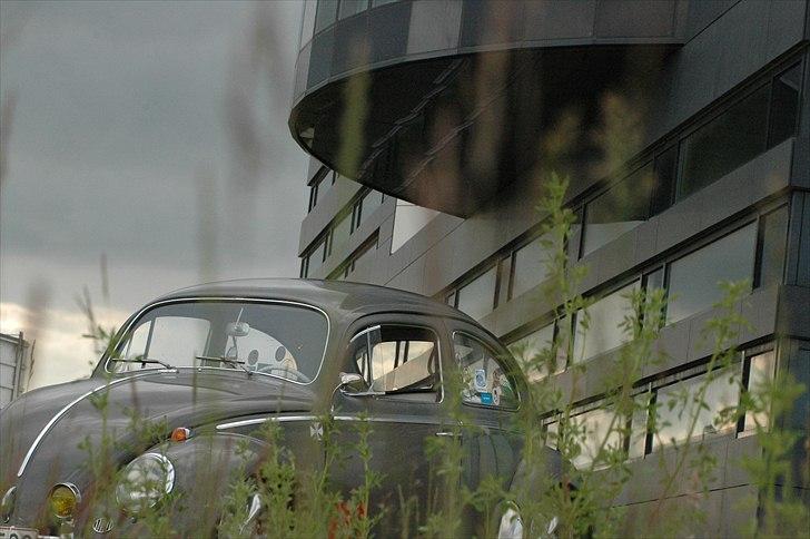 VW 113 DE LUXE billede 12