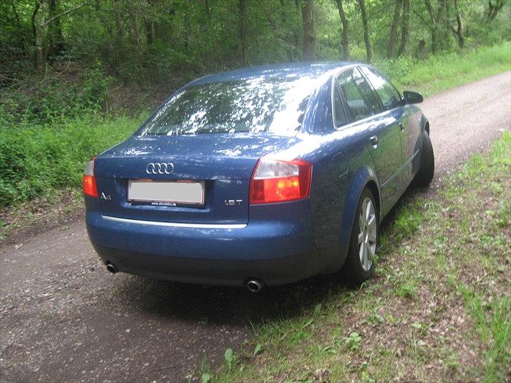 Audi A4 billede 6