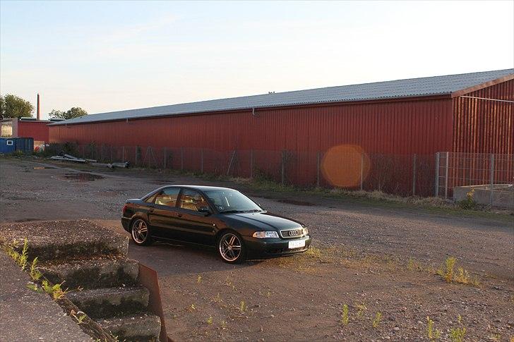 Audi A4 1.8T billede 4