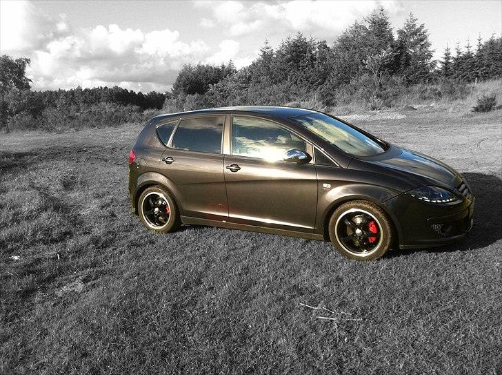 Seat altea billede 1