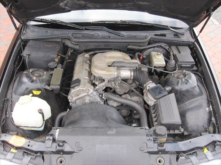 BMW E36 316i billede 8