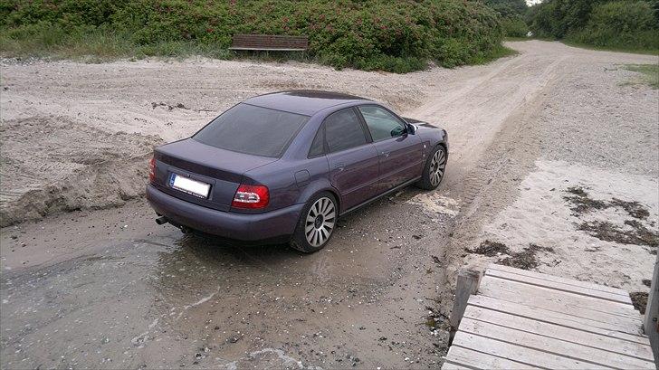 Audi A4 (B5) *solgt* billede 12