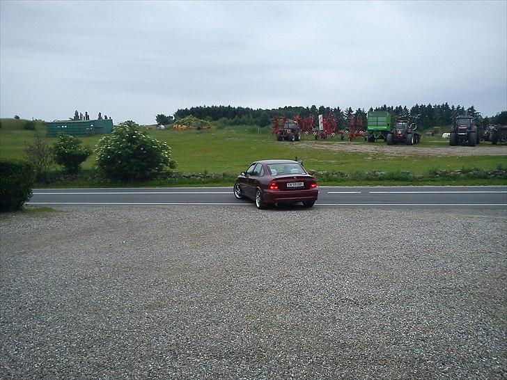 Opel Vectra B 1.8  Elegance--- SOLGT - Det sidste farvel til min dejlige vectra.. ;-( billede 14