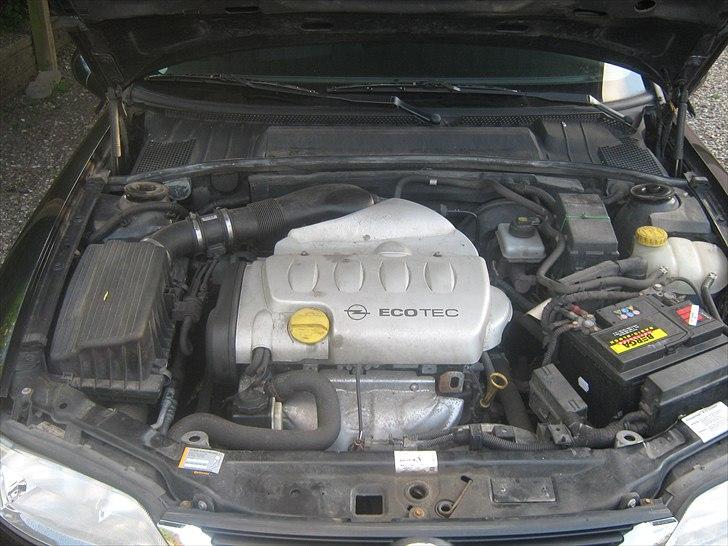 Opel Vectra B billede 13