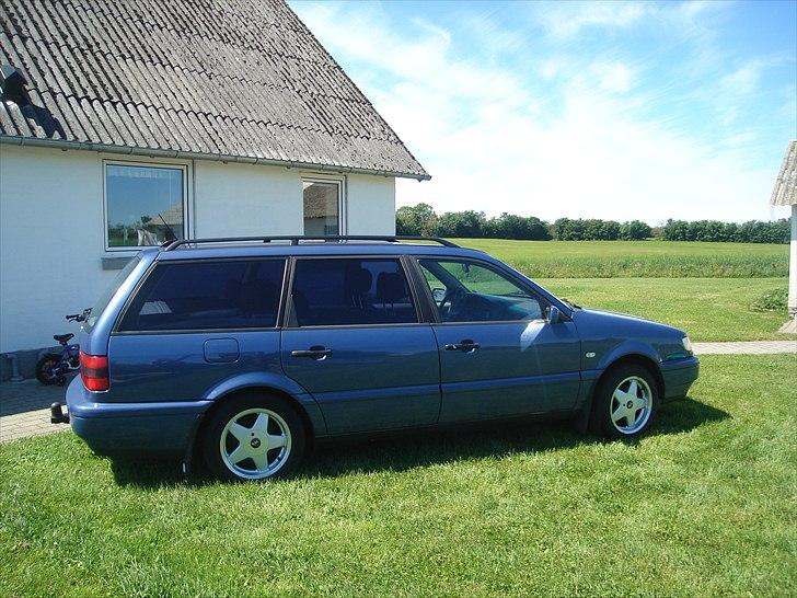 VW passat 35i variant (solgt) - ja så er hun lige kommet på gras det er noget hun kan lide  billede 6