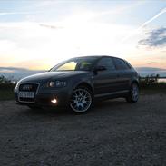 Audi A3 8P
