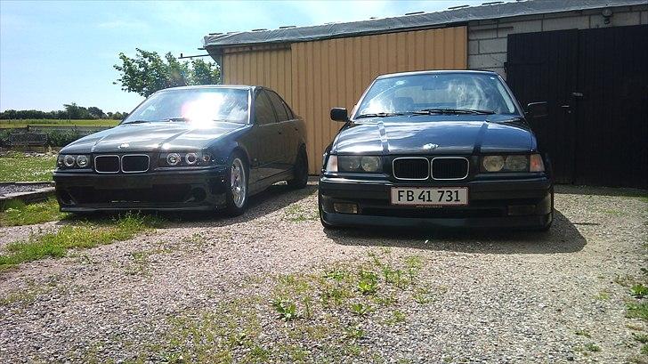 BMW e36 316i compact solgt billede 13