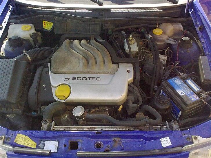 Opel Astra F Club Caravan - Sommer 2011 billede 17