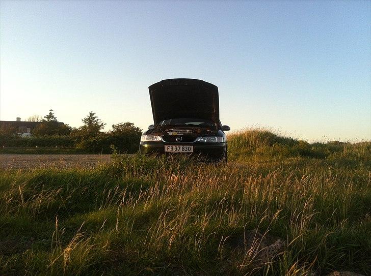 Opel Vectra B V6 2.5 billede 3