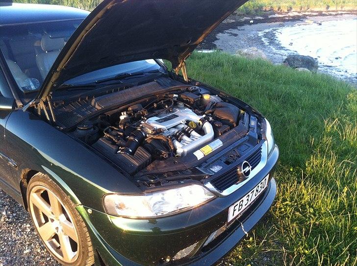 Opel Vectra B V6 2.5 billede 10