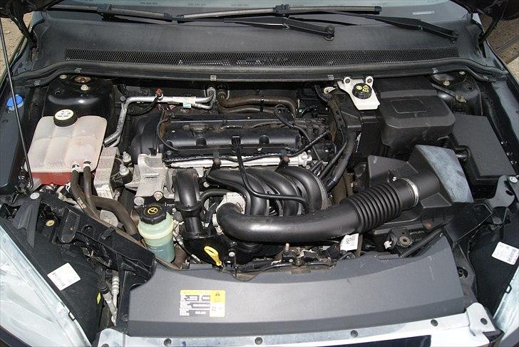 Ford Focus 1.6 billede 11