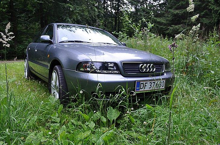 Audi A4 billede 11