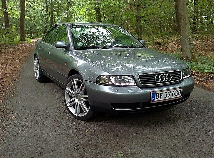 Audi A4 billede 13