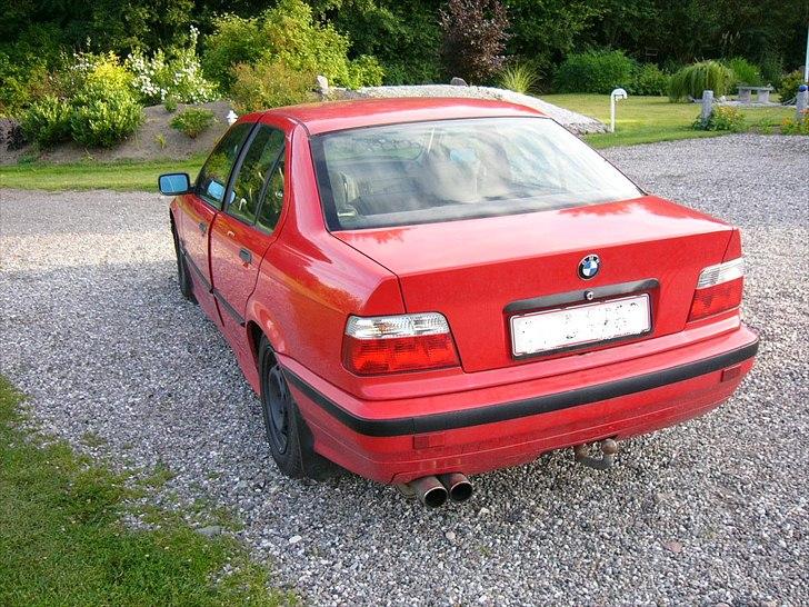 BMW E36 316i billede 2