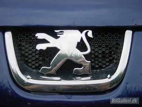 Peugeot 406 (SOLGT) billede 1