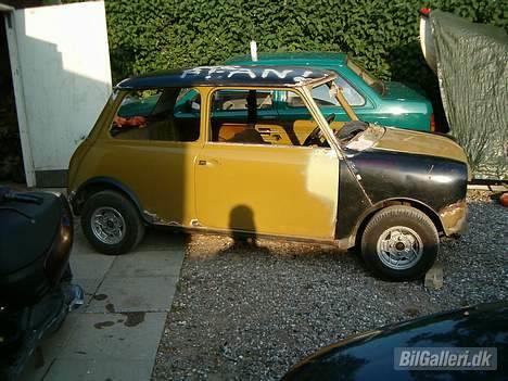 Mini morris mascot solgt billede 2