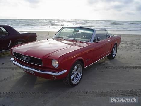 Amerikaner Ford Mustang Conv. - Har sæt hesten samt listen til hjelmen på. Kan ikke rigtig finde ud af hvad der er pænest.  billede 6