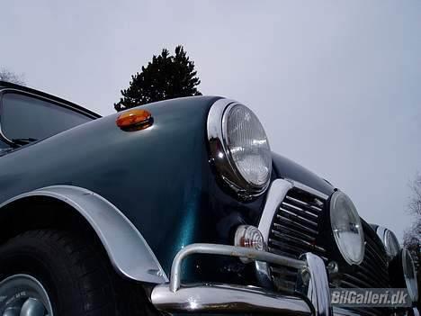 Mini Mascot Special *SOLGT* billede 12