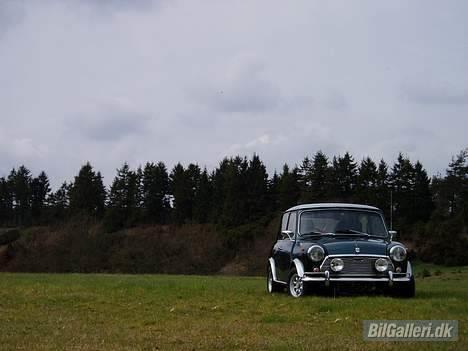 Mini Mascot Special *SOLGT* billede 14