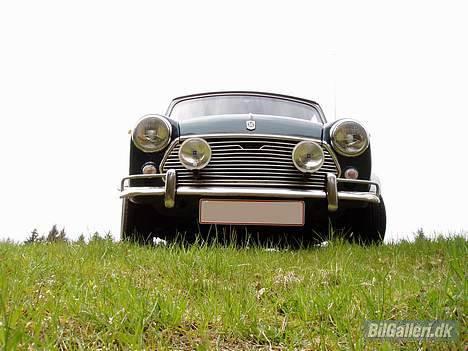 Mini Mascot Special *SOLGT* billede 15