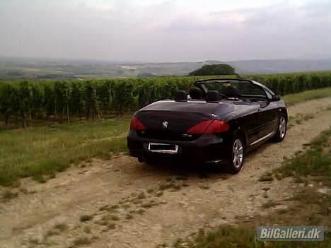 Peugeot 307 CC billede 9