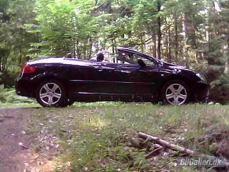 Peugeot 307 CC billede 11