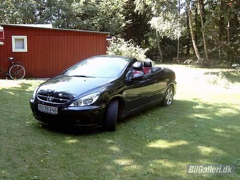 Peugeot 307 CC billede 12