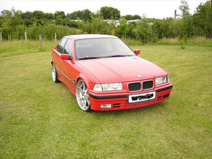 BMW E36 316i billede 12