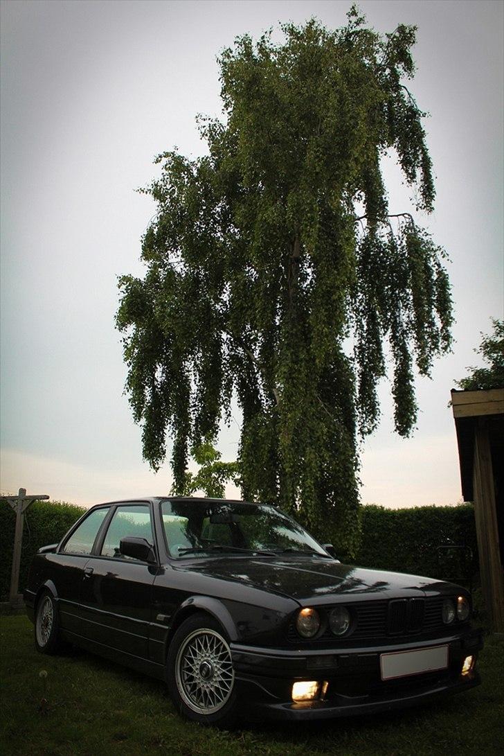 BMW E30 billede 1