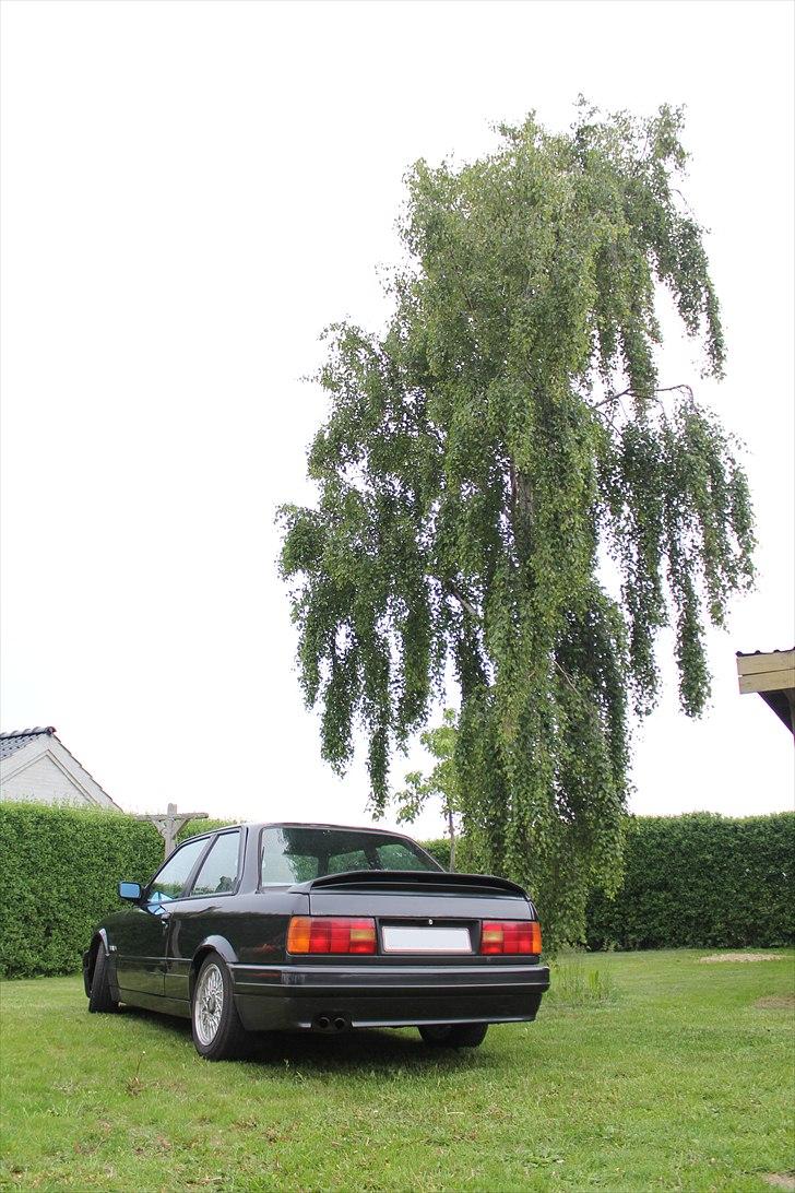 BMW E30 billede 9