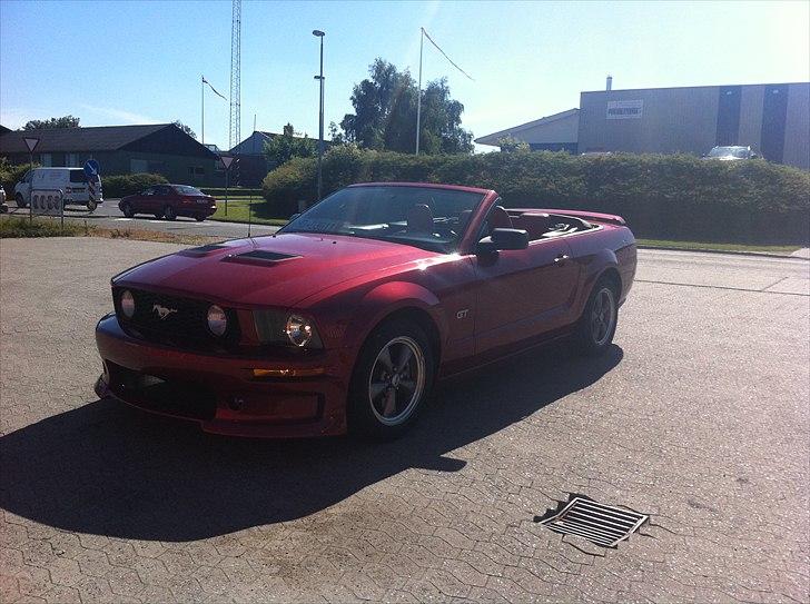 Ford Mustang GT CABRIO - Lige hentet hjem billede 3