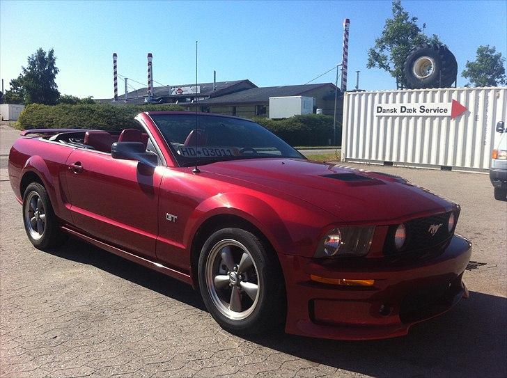 Ford Mustang GT CABRIO billede 4