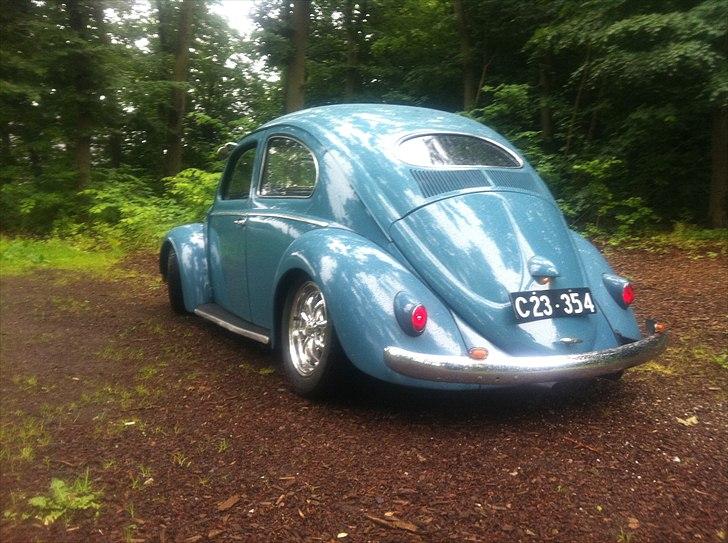 VW Bobbel  billede 8