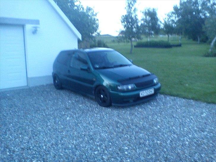 VW polo 6n billede 6