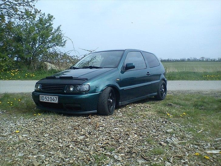 VW polo 6n billede 1