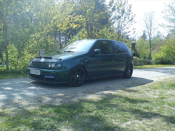 VW polo 6n billede 7