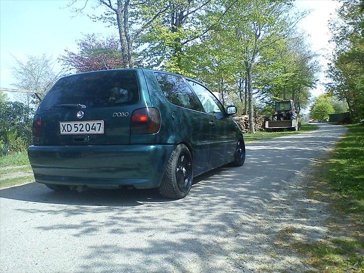 VW polo 6n billede 9